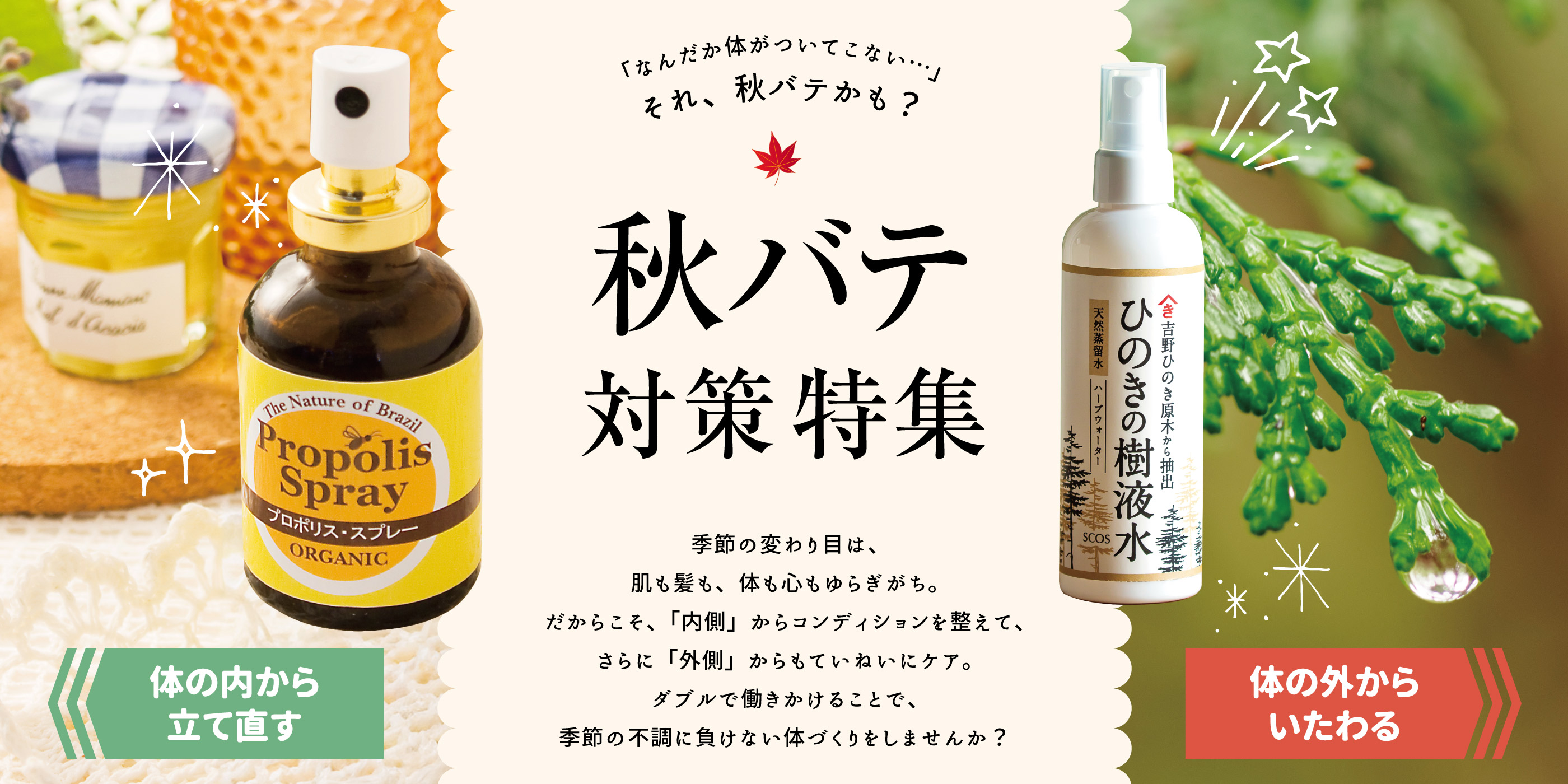 秋バテ特集